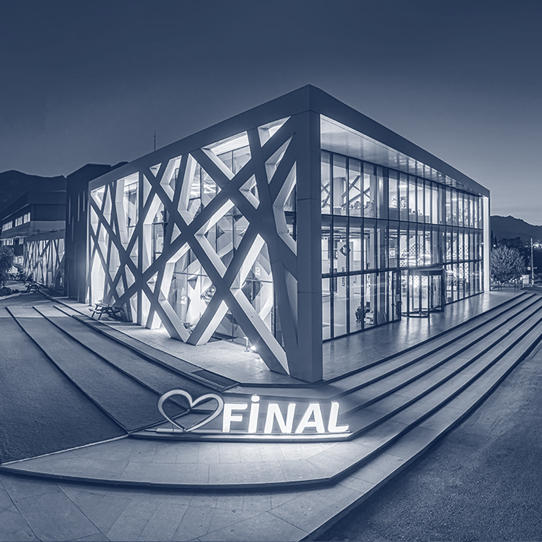 Final International University